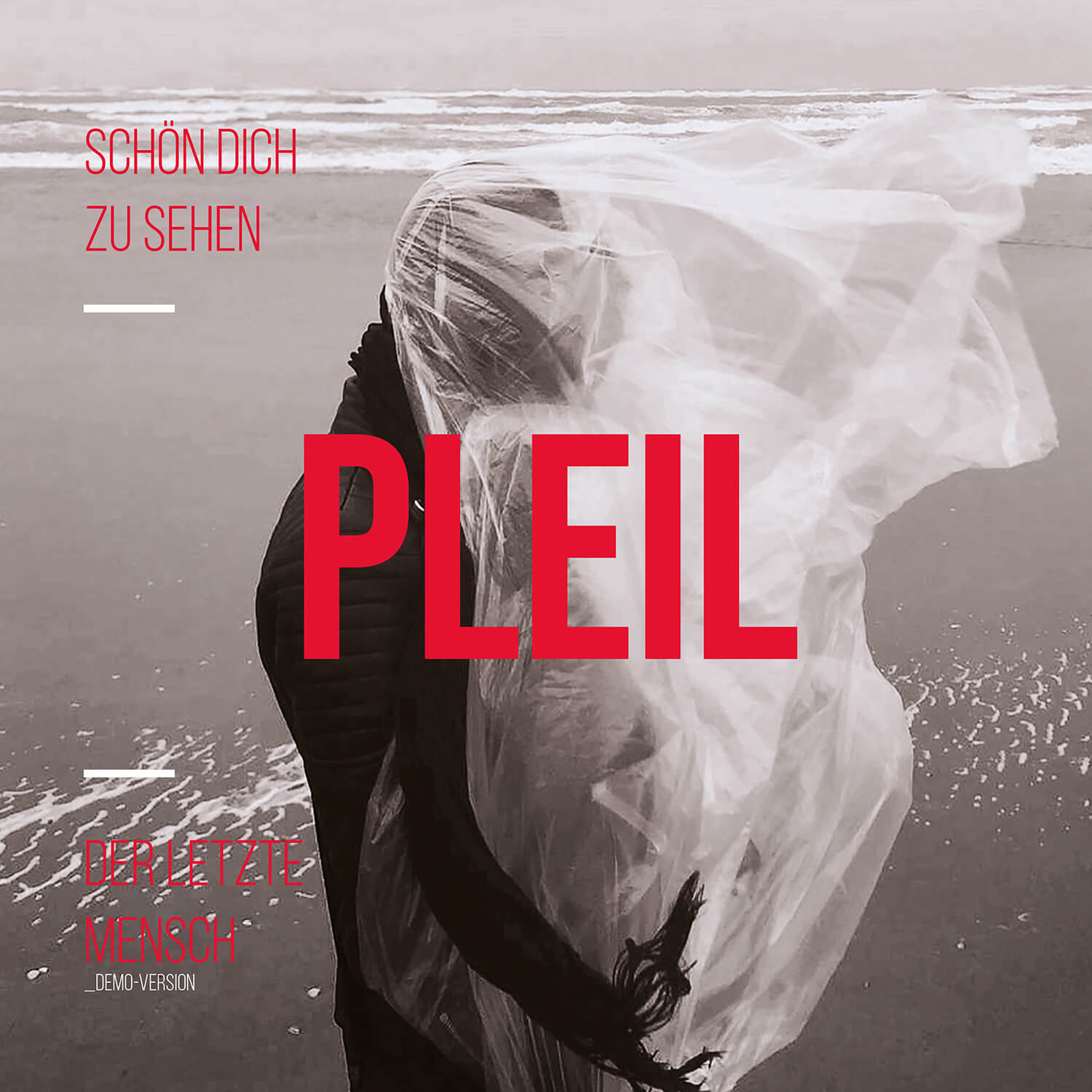 PLEIL – Schön Dich zu sehen (2022) | Artwork & Design von Soheyl Nassary